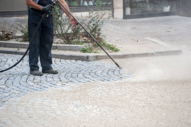 Best Animal Enclosure Cleaning  in Benton, TN